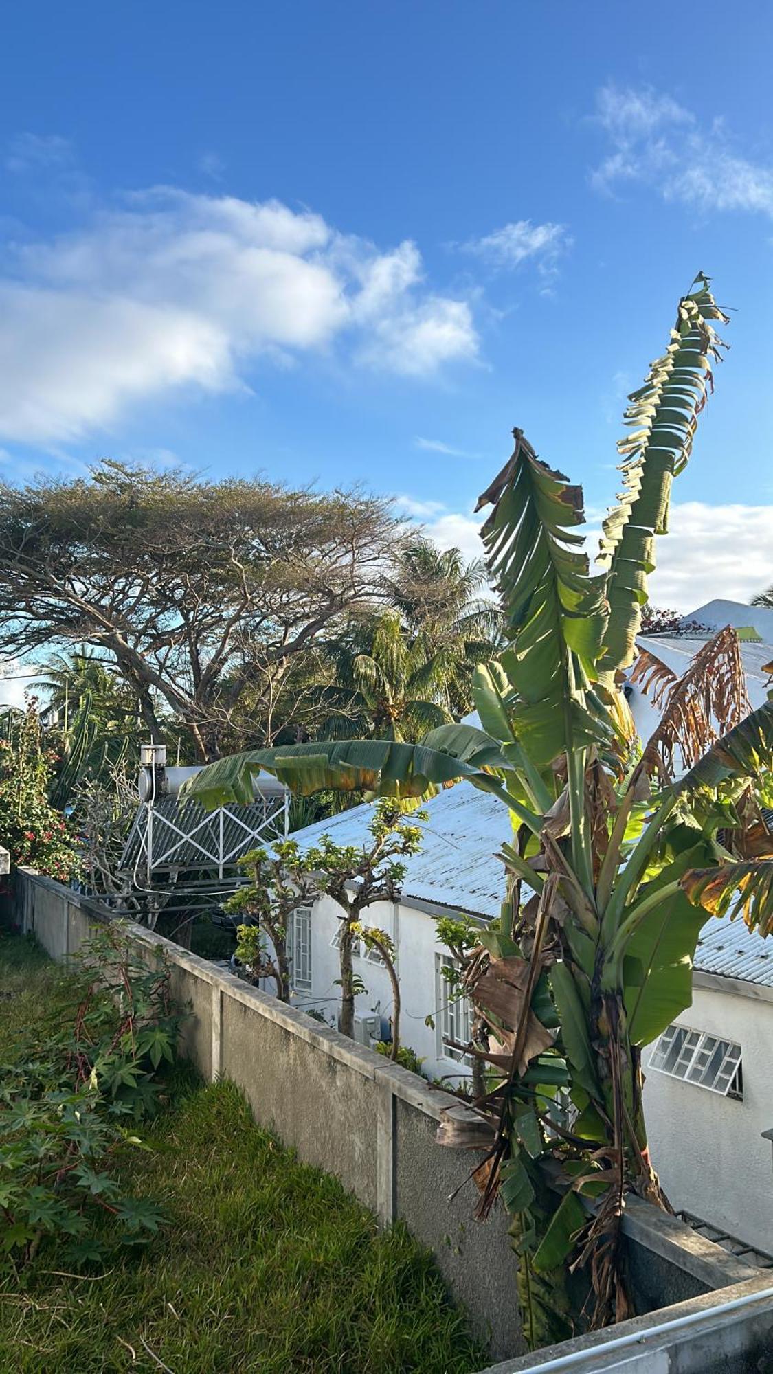Coastal View Apartments Grand-Baie Eksteriør billede